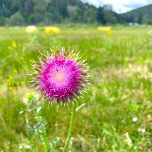 Meet your Posher, Trevor